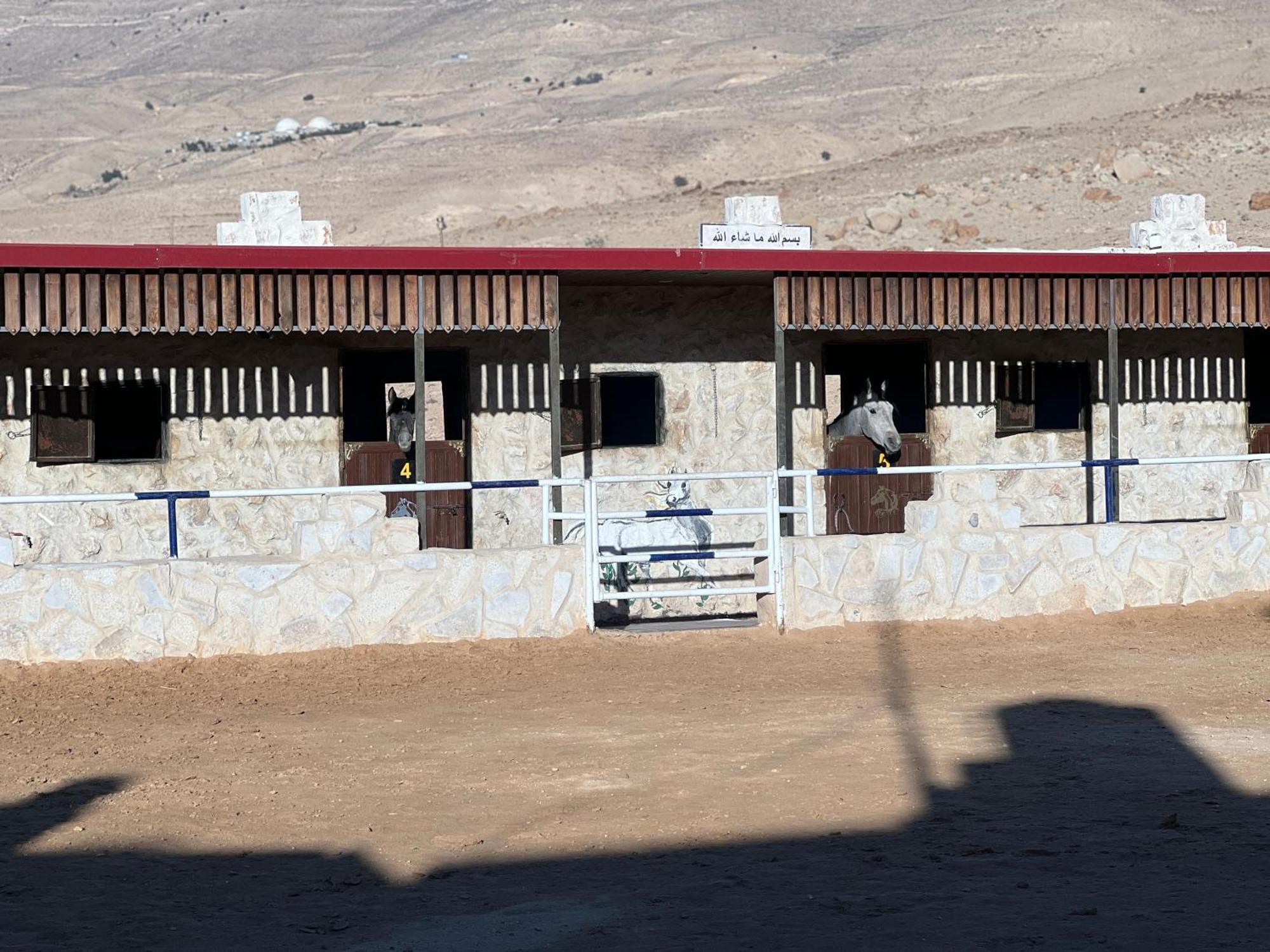 Petra Royal Ranch Bed & Breakfast Wadi Musa Exterior photo